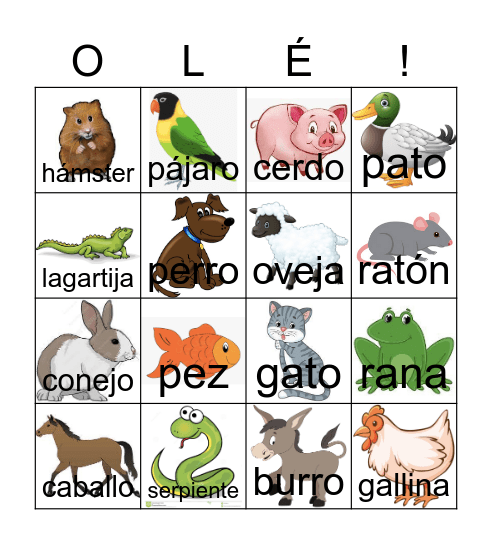 K.U.2 Mascotas Bingo Card