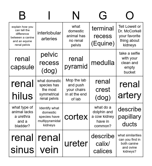 Kidney Bingo Card