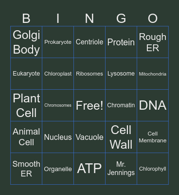 Organelle BINGO Card