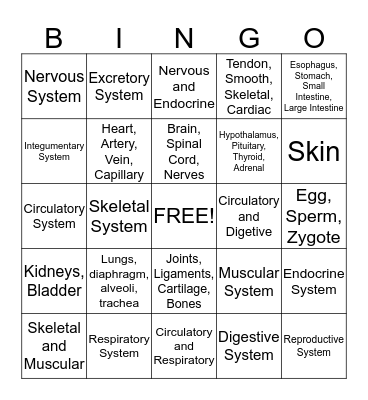 Human Body Bingo Card