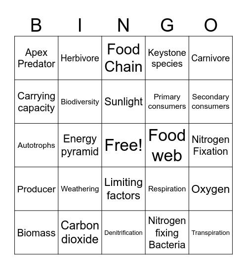 SB5 Review Bingo Card
