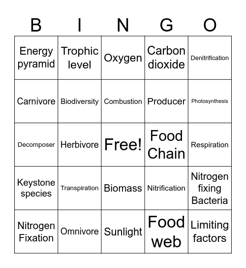 SB5 Review Bingo Card