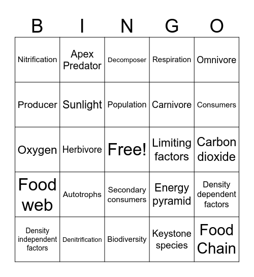 SB5 Review Bingo Card