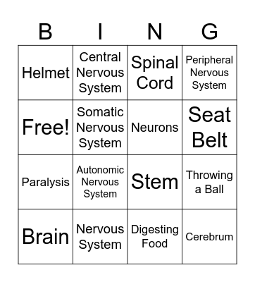 Nervous System Bingo Card