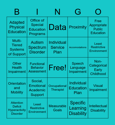 Special Education Terminology Bingo Card