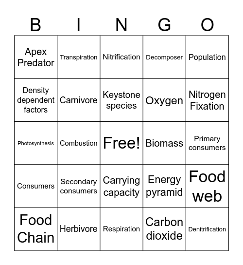 SB5 Review Bingo Card