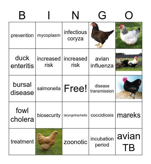 Avian Bingo Card
