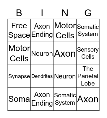 Nervous System Bingo! Bingo Card