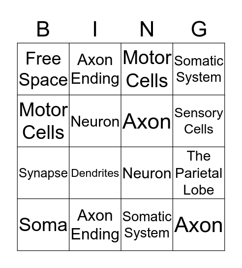 Nervous System Bingo! Bingo Card