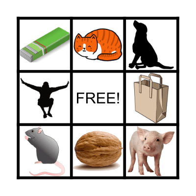 Sentence Dictation: CVC Bingo Card