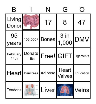 Organ, Eye, and Tissue Donation Bingo Card