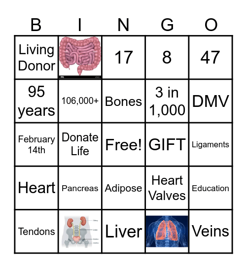 Organ, Eye, and Tissue Donation Bingo Card