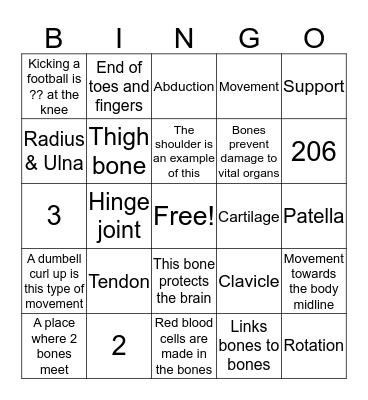 The Skeletal System Bingo Card