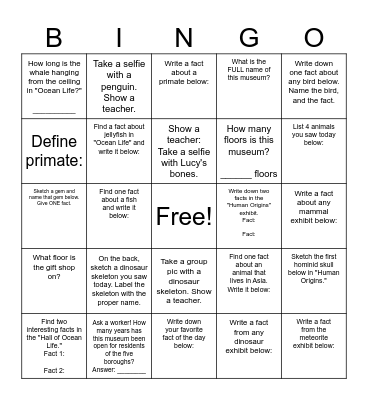 Museum of Natural History Bingo Card