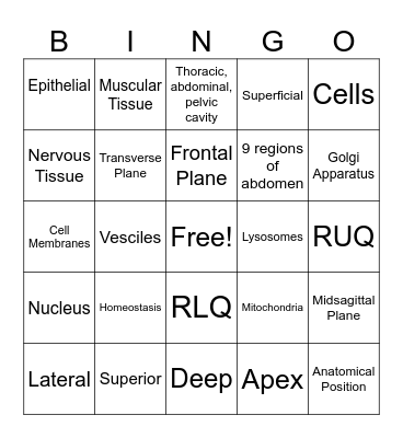 Chapter 6-Organization of the Human Body Bingo Card
