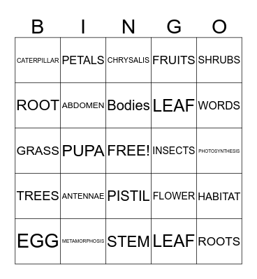 BUTTERFLY Bingo Card