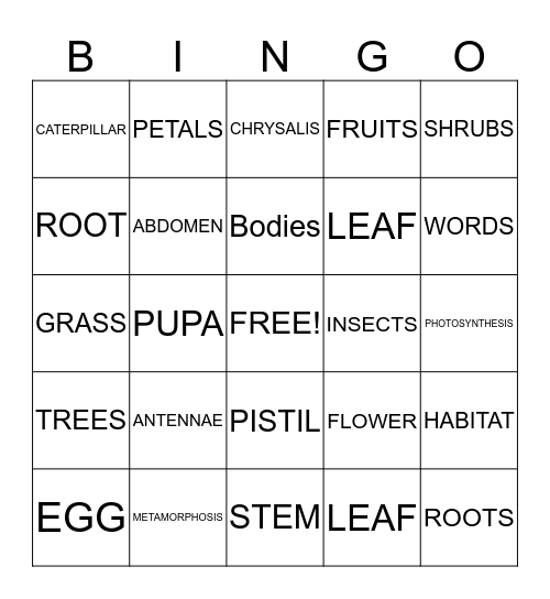 BUTTERFLY Bingo Card