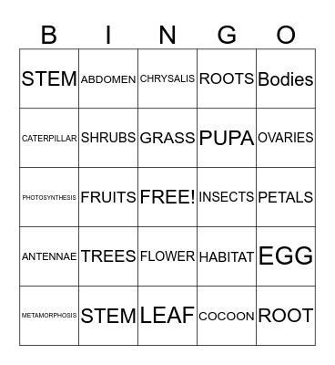 Butterfly Bingo Card