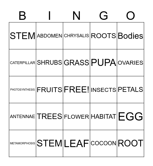 Butterfly Bingo Card