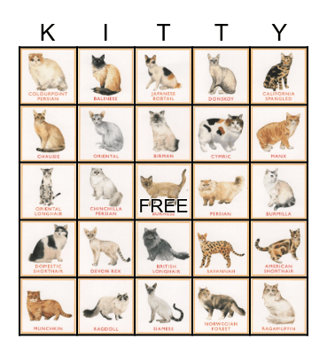 Cat Breeds Bingo Card