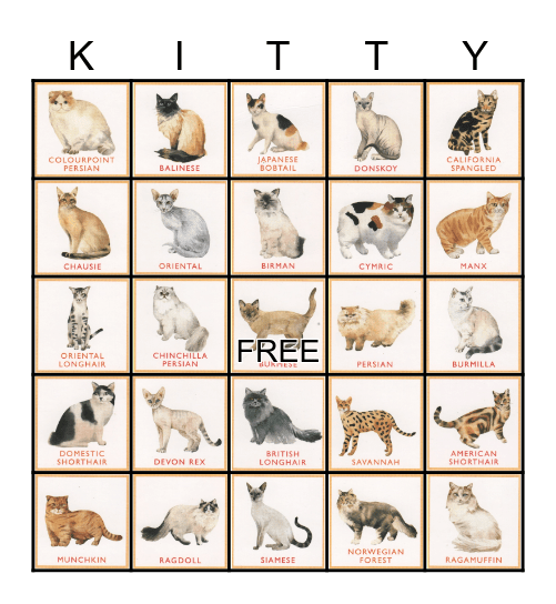 Cat Breeds Bingo Card