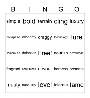 Unit 4 Vocabulary Bingo Card