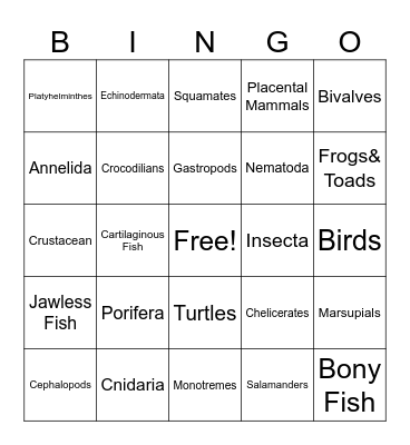 ANIMAL PHYLUM Bingo Card