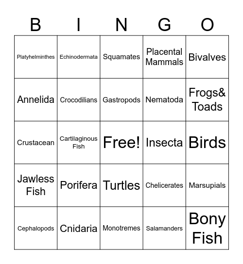 ANIMAL PHYLUM Bingo Card