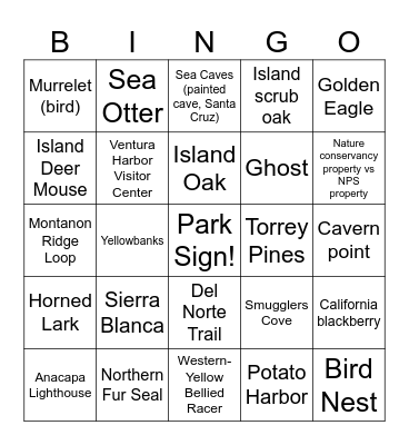 Channel Islands National Park Bingo Card