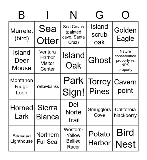 Channel Islands National Park Bingo Card