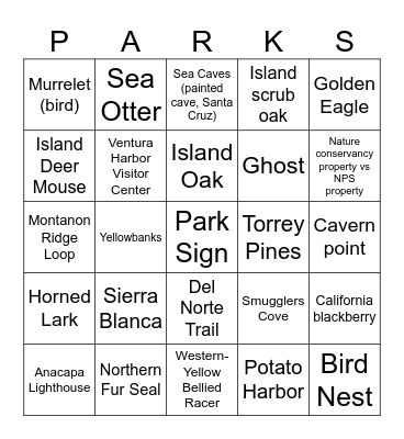 Channel Islands Bingo Card