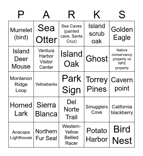 Channel Islands Bingo Card