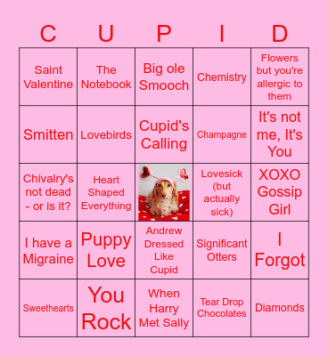 Valentine's Schmalentine's McGalentine's Bingo Card