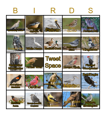 BIRDS Bingo Card