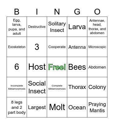 Insect Bingo Card
