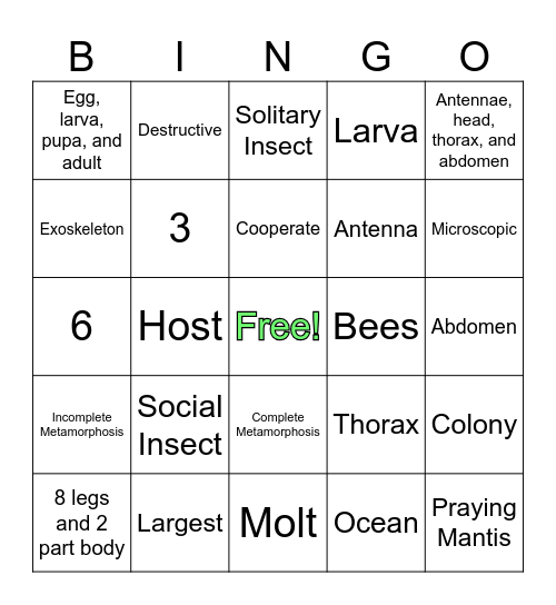 Insect Bingo Card