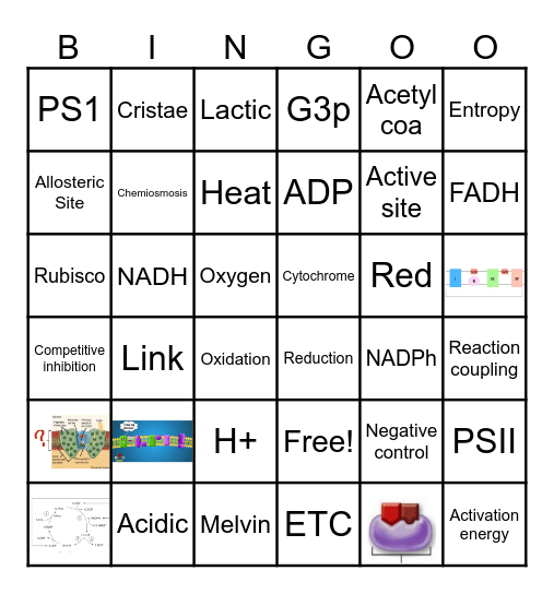 Unit 3 BINGO (w) Bingo Card