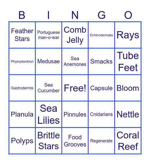 Sea Creatures Bingo Card