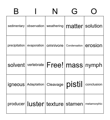 Science Bingo Card