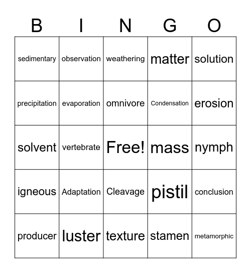 Science Bingo Card
