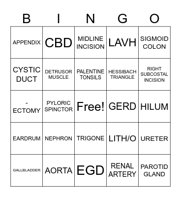 REVIEW ST 210 Bingo Card