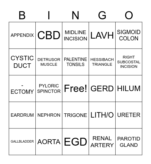 REVIEW ST 210 Bingo Card