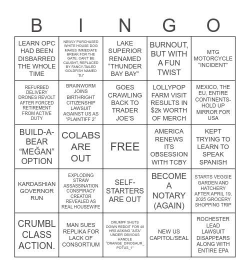 2025 Bingo Card