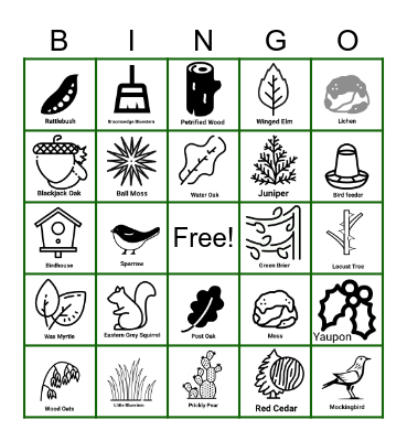 Nature Hike Bingo Card
