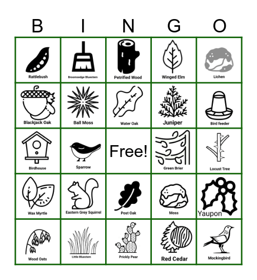 Nature Hike Bingo Card
