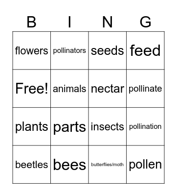 Module 3 Unit 2 Bingo Card