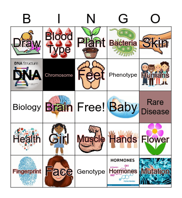 Genetics Bingo Card