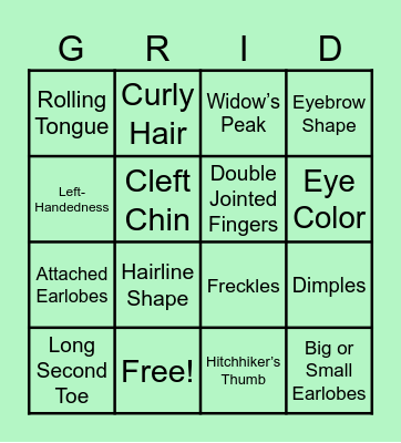 Aristotle Bingo Card
