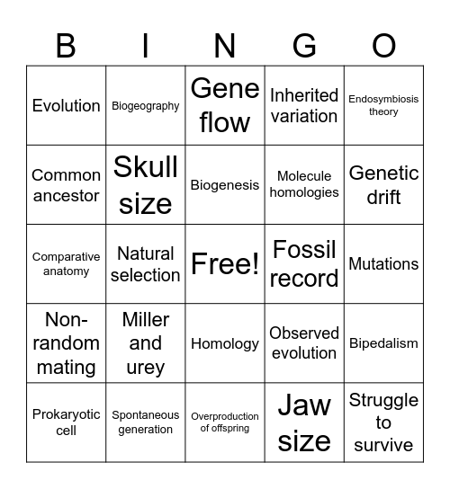 Evolution Bingo Card