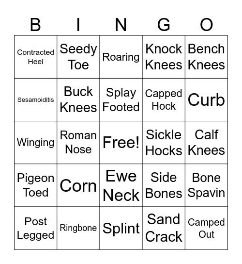 Conformation Bingo Card